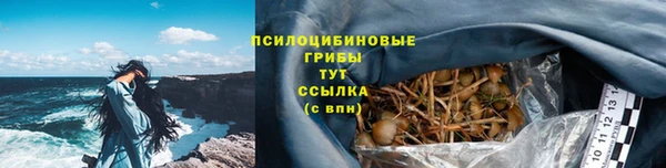 СК Саяногорск