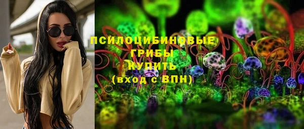тгк Новокубанск