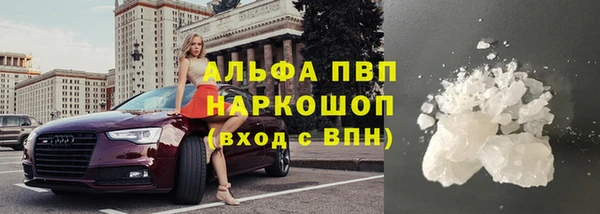 тгк Новокубанск