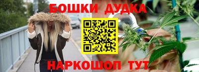 сатива Аргун
