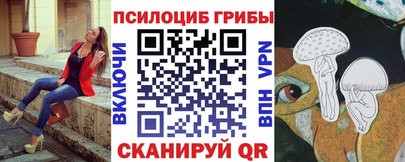 MEGA онион  Кимры  Псилоцибиновые грибы мицелий 