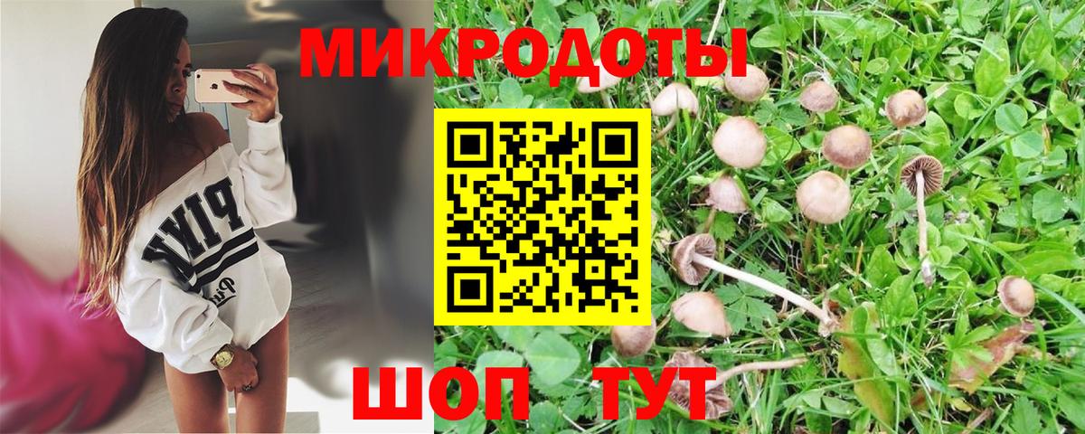 хочу   Псилоцибиновые грибы мухоморы  Вход с VPN  Кимры 