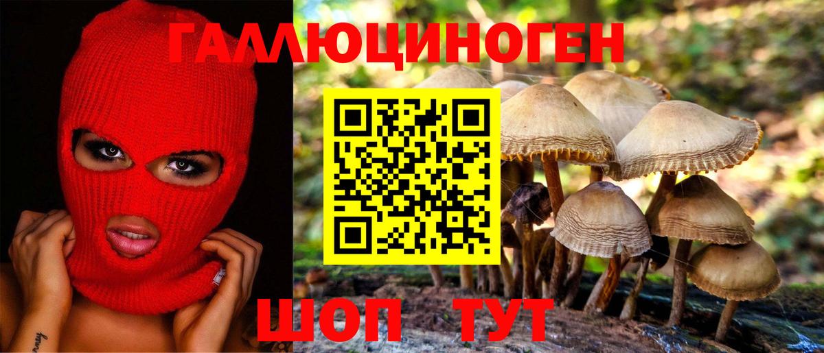 Галлюциногенные грибы Magic Shrooms Кимры
